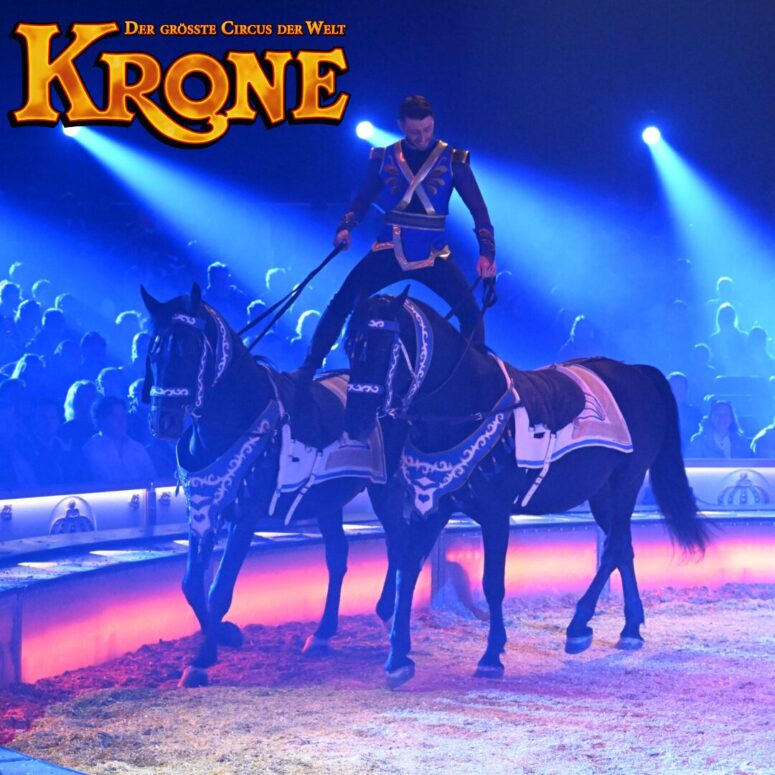 Circus Krone Bayreuth 2025 Farbenspiel Gold Edition pferde dressur