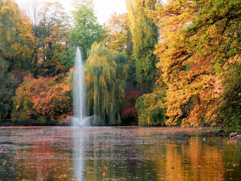 Herbstlicher Röhrensee mit Fontäne