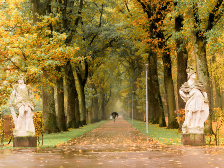 Ein von Bäumen gesäumter Parkweg im Herbst, mit Blättern auf dem Boden und Statuen, die den Eingang flankieren; in der Ferne spaziert eine Person mit einem Regenschirm unter einem Baldachin aus buntem Herbstlaub.