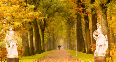 Ein von Bäumen gesäumter Weg in einem Park im Herbst, mit goldenen Blättern auf dem Boden und grünem Gras. Zwei Steinstatuen stehen auf beiden Seiten des Eingangs, und eine Person mit einem Regenschirm geht in der Ferne unter nebligen Bäumen spazieren.