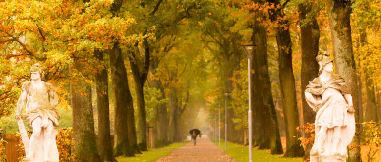 Ein von Bäumen gesäumter Weg in einem Park im Herbst, mit goldenen Blättern auf dem Boden und grünem Gras. Zwei Steinstatuen stehen auf beiden Seiten des Eingangs, und eine Person mit einem Regenschirm geht in der Ferne unter nebligen Bäumen spazieren.