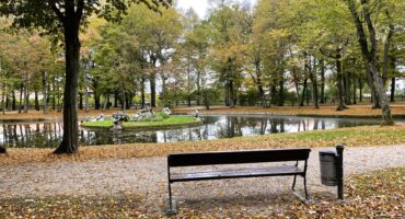Im ruhigen Hofgarten steht eine Holzbank vor einem kleinen Teich, der von Bäumen mit Herbstlaub umgeben ist; herabgefallene Blätter bedecken den Boden, und ein Mülleimer steht in der Nähe. Die Szene ist friedlich und heiter.