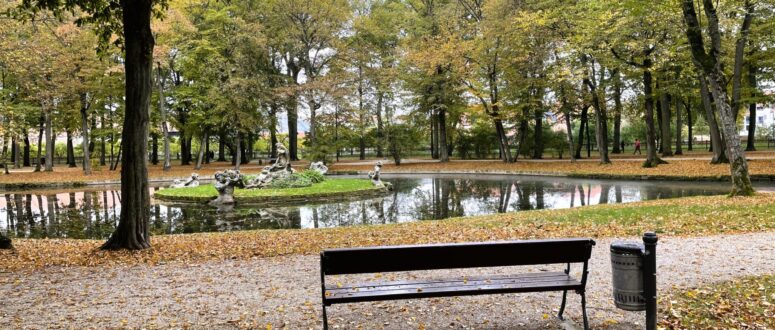 Im ruhigen Hofgarten steht eine Holzbank vor einem kleinen Teich, der von Bäumen mit Herbstlaub umgeben ist; herabgefallene Blätter bedecken den Boden, und ein Mülleimer steht in der Nähe. Die Szene ist friedlich und heiter.