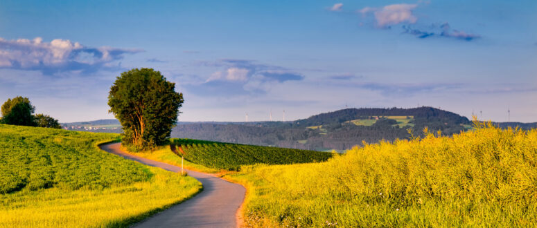 Wander-Geheimtipp: Panoramaweg am Eichelberg