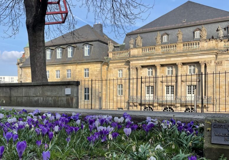 Im Vordergrund blüht ein Beet mit lila und weißen Krokussen, die den Frühling ankündigen, während im Hintergrund ein historisches Steingebäude mit Säulen, Statuen und großen Fenstern unter blauem Himmel zu sehen ist.