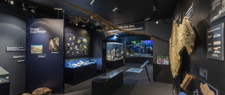 In einem dunklen Ausstellungsraum des Museums werden Fossilien, Gesteine und Mineralien in Glasvitrinen ausgestellt, über dem Kopf hängt ein bewegliches prähistorisches Skelett und an den Wänden sind Informationstafeln angebracht.