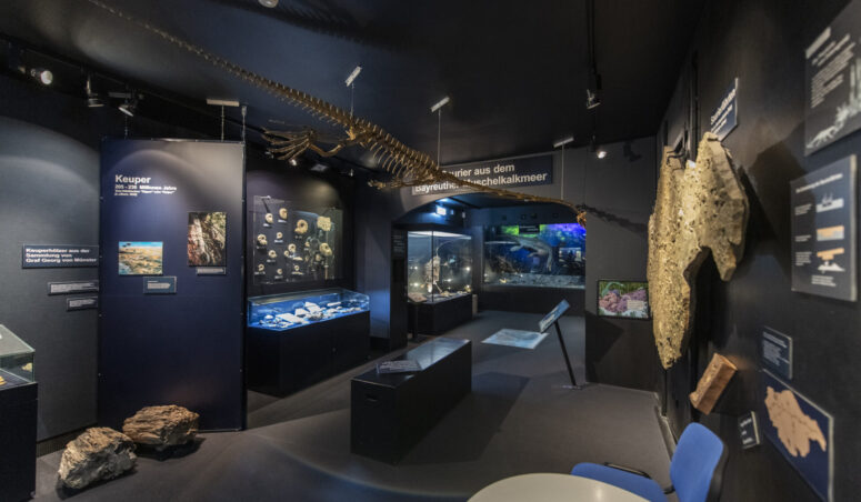 In einem dunklen Ausstellungsraum des Museums werden Fossilien, Gesteine und Mineralien in Glasvitrinen ausgestellt, über dem Kopf hängt ein bewegliches prähistorisches Skelett und an den Wänden sind Informationstafeln angebracht.