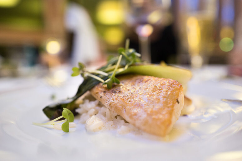 Eine Nahaufnahme eines Fischfilets auf einem Bett aus weißem Reis, garniert mit Mikrogrün und Gemüse, serviert auf einem weißen Teller mit einem unscharfen, eleganten Restaurant-Hintergrund.