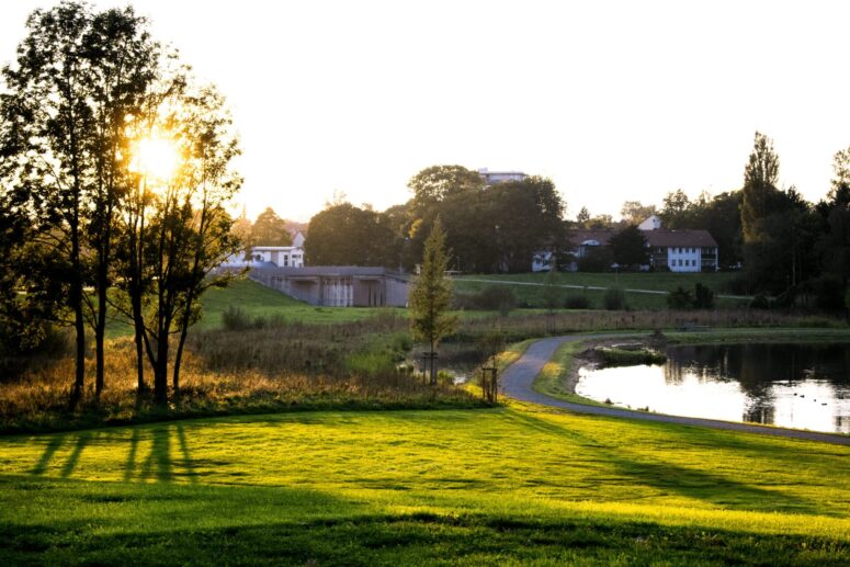 Ein sonnenbeschienener Park mit grünem Gras, Bäumen, die lange Schatten werfen, einem kleinen Teich mit einem Spazierweg daneben und Häusern im Hintergrund unter einem klaren Himmel - perfekt für CC0-Bilder, um heitere Momente im Freien einzufangen.
