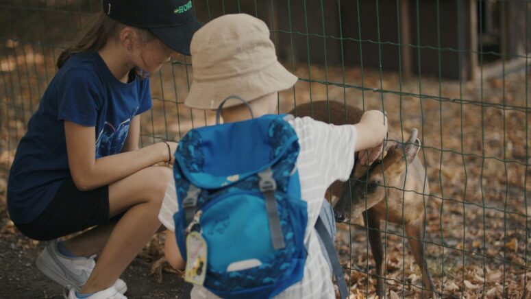 Zwei Kinder, eines mit blauem Hemd und schwarzer Mütze, das andere mit beiger Mütze und blauem Rucksack, streicheln sanft ein kleines Reh durch einen mit trockenen Blättern übersäten Drahtzaun - ein bezaubernder Moment, der in diesem CC0-Bilder festgehalten wurde.