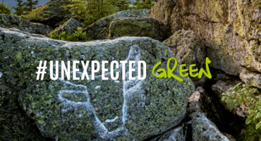 Große, moosbewachsene Felsen mit weißen Flecken und kleinen grünen Pflanzen. Über dem Bild steht der Text #UNEXPECTED GREEN, wobei das Wort „GREEN“ in leuchtendem Grün handschriftlich geschrieben ist.