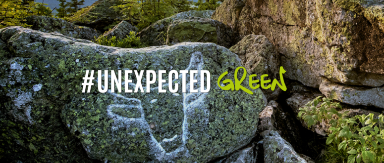Große, moosbewachsene Felsen mit weißen Flecken und kleinen grünen Pflanzen. Über dem Bild steht der Text #UNEXPECTED GREEN, wobei das Wort „GREEN“ in leuchtendem Grün handschriftlich geschrieben ist.