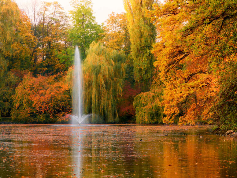 Ein hoher Springbrunnen spritzt Wasser in einen Teich, der von Bäumen mit leuchtendem Herbstlaub umgeben ist.
